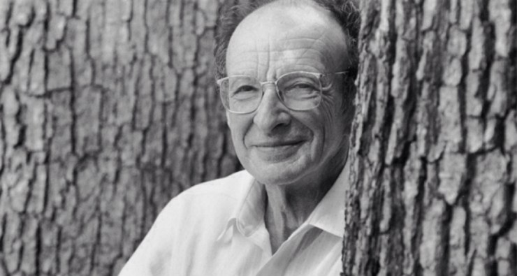 A Teoria dos Sistemas Ecológicos de Bronfenbrenner: uma lente para compreender o desenvolvimento humano em contexto