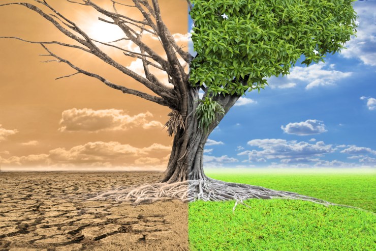 AULA 1 – REFLEXÃO TEMÁTICA