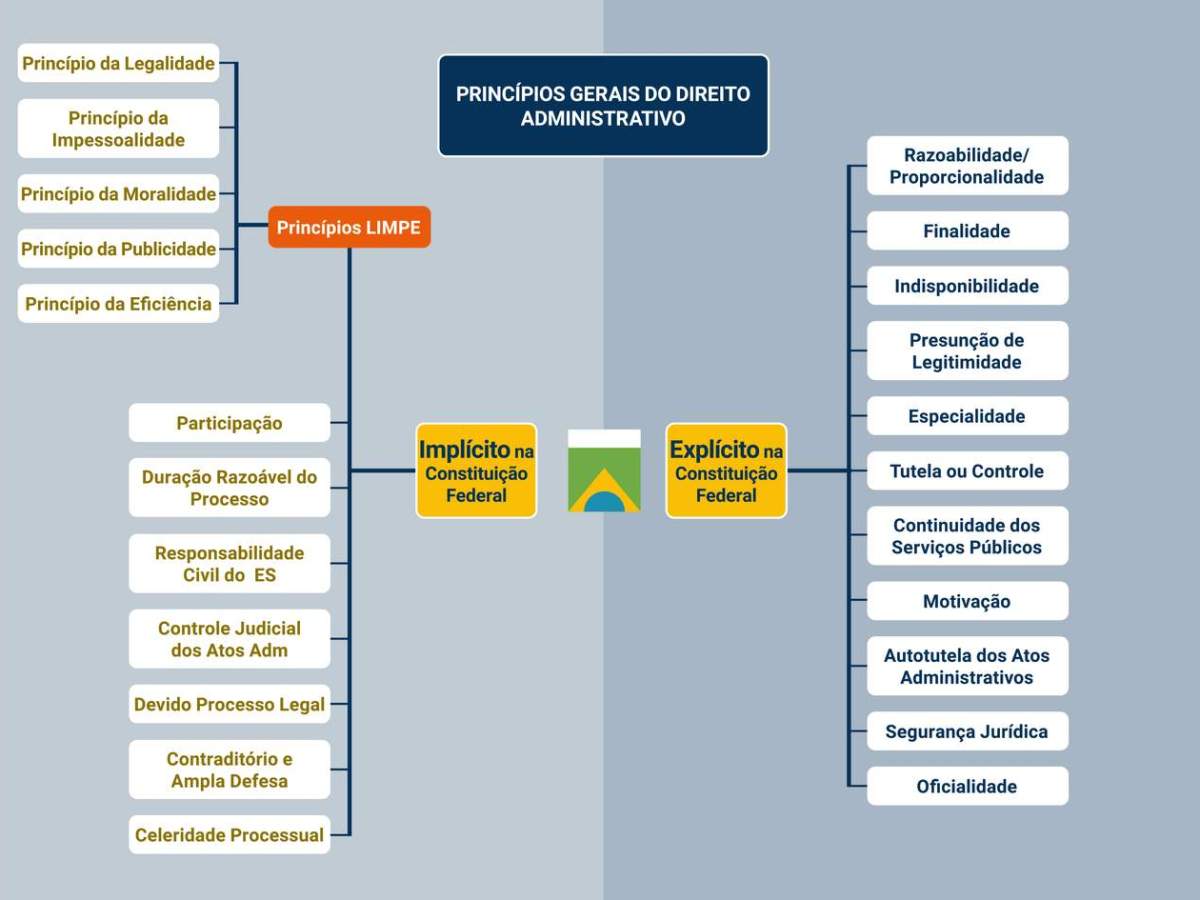 Contratos admnistrativos: Os princípios da administração pública