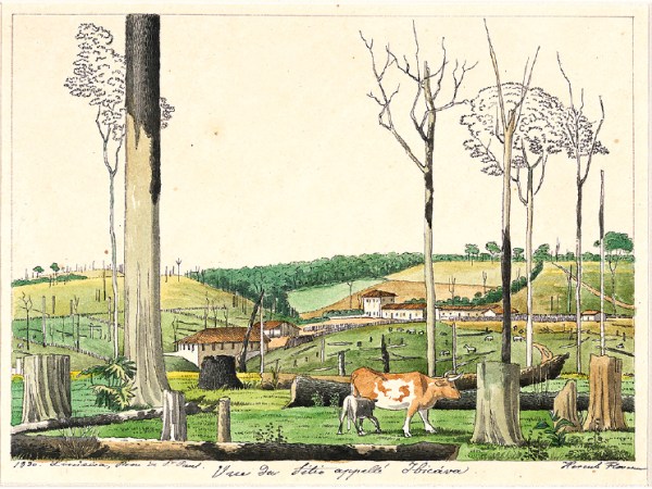 Capítulo 4: Uma Experiência com o Trabalho Livre