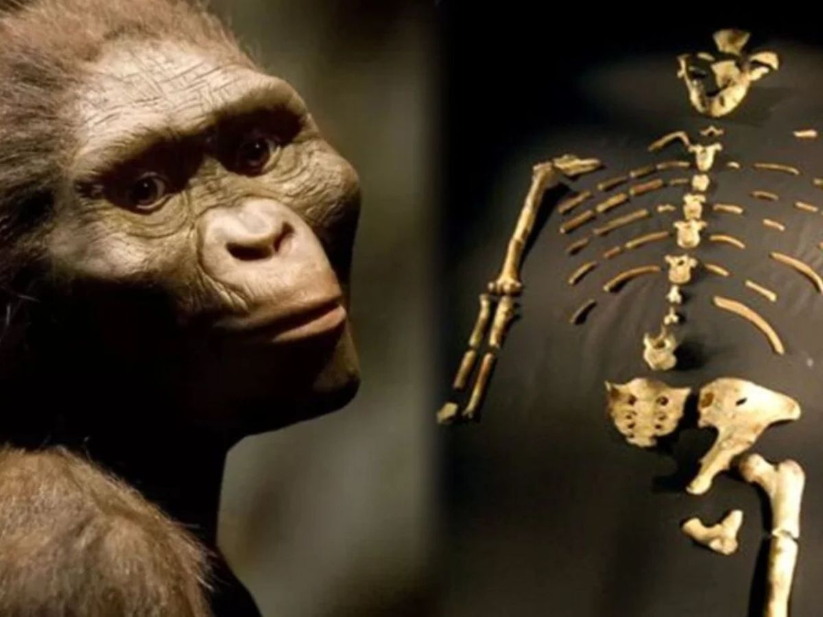 Apocatástase: Viagem arqueoliterária marca novo poema nonsense